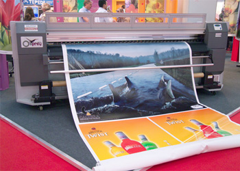 In decal tại Hải phòng