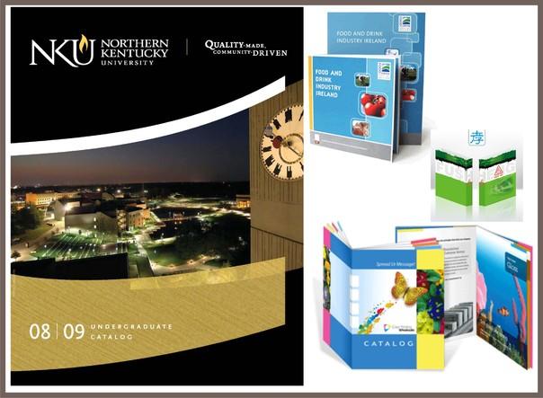 In catalogue tại Hải Phòng