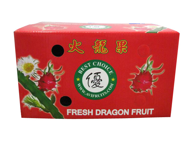 In bao bì đẹp tại Hải Phòng, In bao bi dep tai Hai Phong